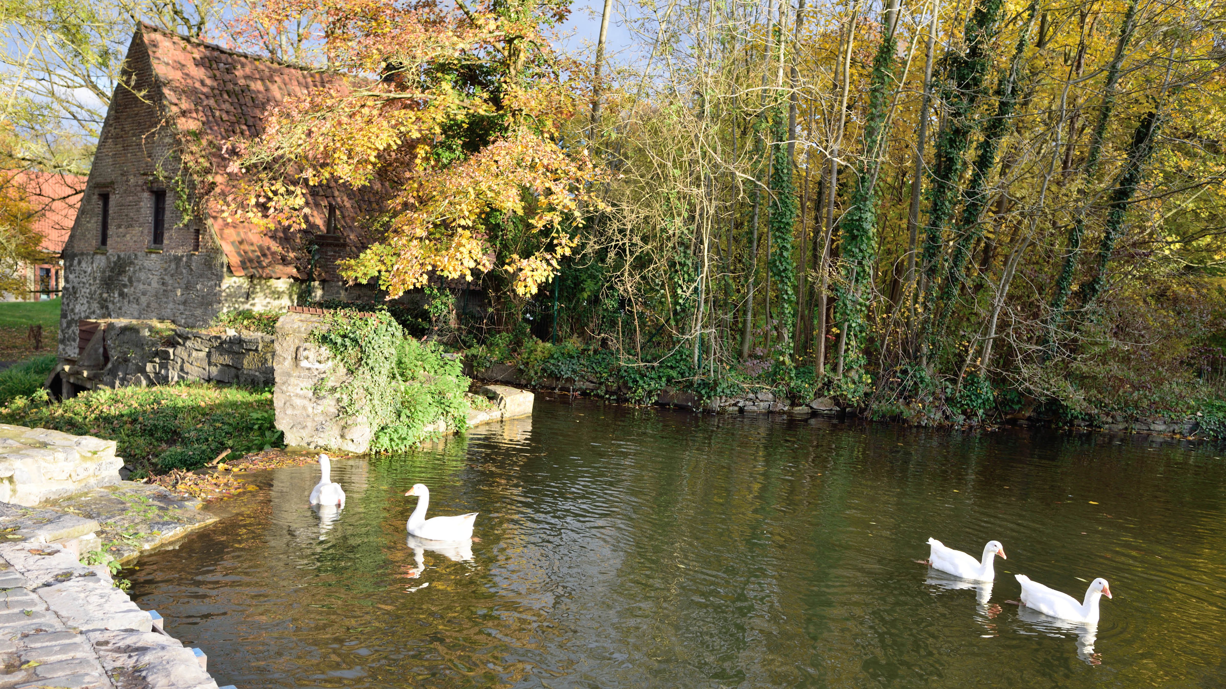 Dimanche 1509 Visite Guidée De Froyennes Sa Fontaine Et